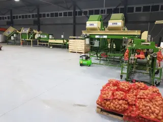 Линия по мойке, полировке, сушке, сухой очистке, сортировке, переборке, калибровке, фасовке, упаковке овощей, картофеля, моркови, лука