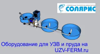 Узв на 500 кг осетра в год