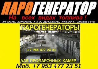 Парогенераторы для пропарочных камер