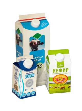 Линия для фасовки в пакеты типа Пюр Пак