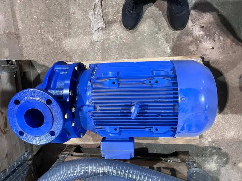 Насос циркуляционный LOWARA LNEE 65-250/220/P25VCSW