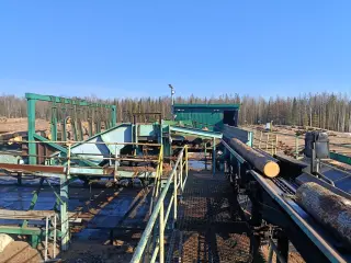Линия лесопиления деревообрабатывающего завода