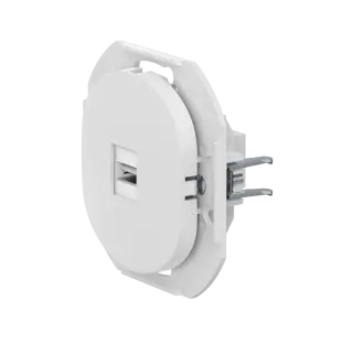 Розетка скрытой установки CADUCEUS ALING EON с модулем Keystone USB 2.0 тип A-A, механизм