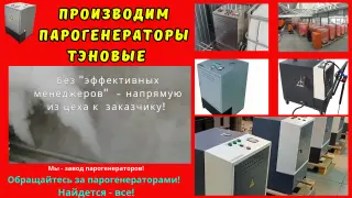 Парогенератор тэновый