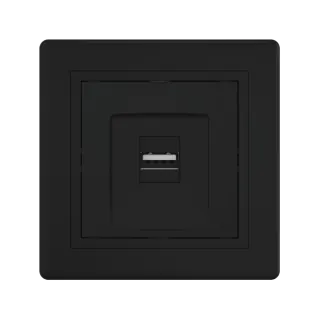 Розетка скрытой установки CADUCEUS ALING PRESTIGE с модулем Keystone USB 2.0 тип А-А, 250В~