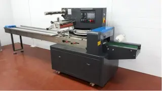 Горизонтальная упаковочная машина с термопринтером (датером) Prostor-250