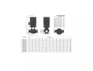 Вертикальный центробежный насос Fancy FTD65-22G/2
