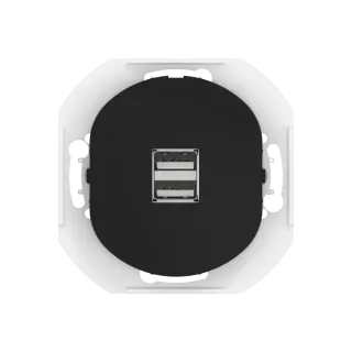 Розетка скрытой установки CADUCEUS ALING EON USB тип A для зарядки устройств, двойная, 2,1А, 5В=, 250В~, механизм