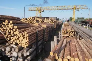 Экспорт пиломатериалов из России в январе-августе 2014 г. достиг 8,71 млн т