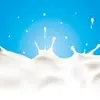 info_separatori