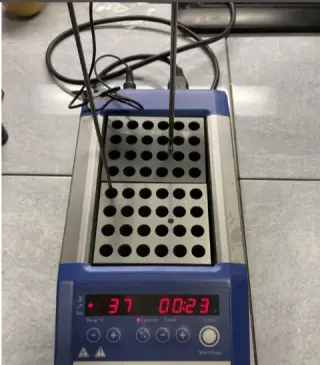 Твердотельный термостат IKA Dry Block Heater 2