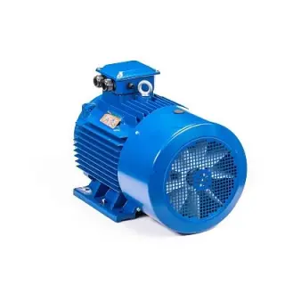 Эл.двигатель 5АИ 355 LD4 500/1500 IM 1001