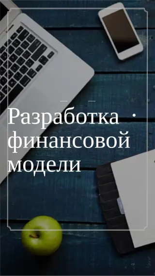 Оцифровка бизнеса с формированием системы бюджетирования
