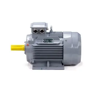 Эл.двигатель ESQ PR 160 M6 GST-Б1-S12-IE2 15/1000 IM 1001