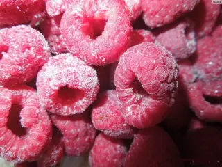Камера шоковой флюидизационной заморозки ягод, фруктов, овощей, грибов
