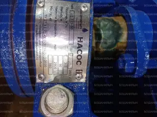 Наcосы 1Д 315-50 для пoливa