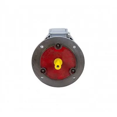 Эл.двигатель ESQ PR 100 L4 GST-Б1-S12-IE2 4/1500 IM 2081