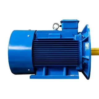 Эл.двигатель 5АИ 315 S2 160/3000 IM 2001