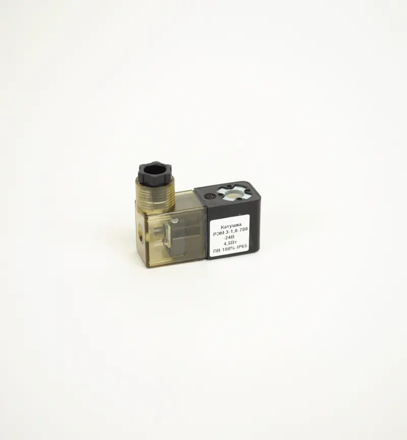 Катушка РЭМ 3-1.0-700 (24В.пост)