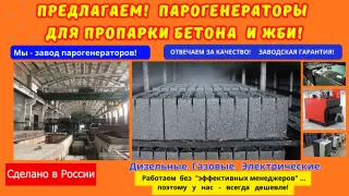Пропарка жби