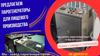 Парогенератор для пищевых производств купить