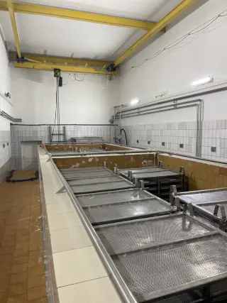 линия по производству сыра Obram