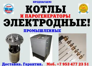 Парогенератор промышленный цена