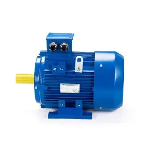 Эл.двигатель ESQ 250 M4-SDN- 55/1500 IM B3
