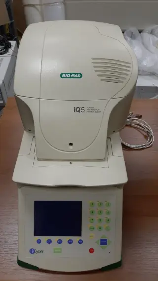 Амплификатор Bio Rad IQ 5