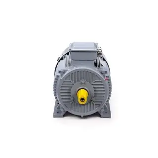 Эл.двигатель ESQ PR 180 M4 GST-Б1-S12-IE2 30/1500 IM 1001