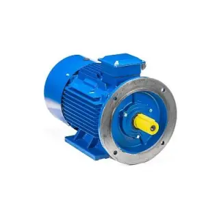 Эл.двигатель 5АИ 180 М4 30/1500 IM 2001