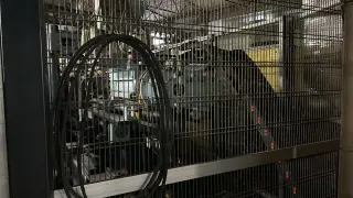 Автоматическая машина для производства сапог из ПВХ