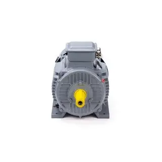 Эл.двигатель ESQ PR 160 M6 GST-Б1-S12-IE2 15/1000 IM 1001
