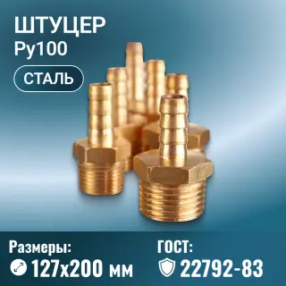 Штуцер ГОСТ 22792-83, Ду 80 мм, Ру 100 МПа