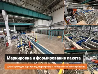 Линия калибровки, маркировки и пакетирования доски