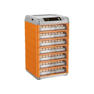 Инкубатор CN488