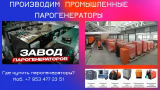 Промышленный парогенератор купить Москва