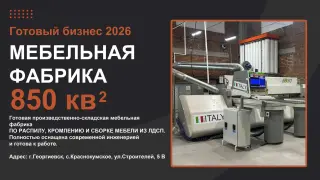 Фабрика по производству мебели целиком