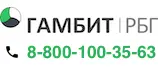 Гамбит