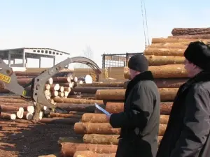 Пункты приема древесины поставят на учет