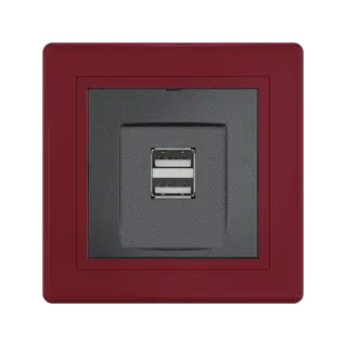 Розетка скрытой установки CADUCEUS ALING PRESTIGE двойная, USB, тип А, для зарядки устройств, 2,1А, 5В=, 250В~