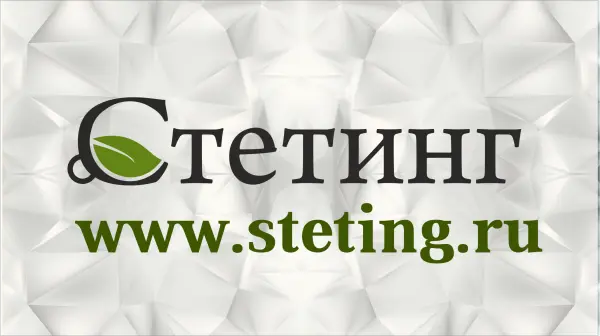 ООО «Стетинг»