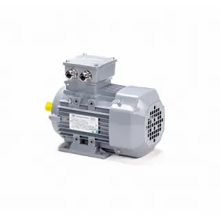 Эл.двигатель ESQ PR 80 A4-SDN-Б1-S12-IE3 0.55/1500 IM B3