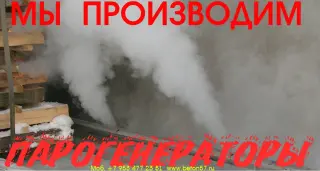 Промышленный парогенератор цена