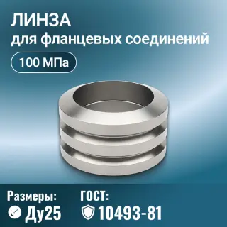 Линза для фланцевых соединений ГОСТ 10493-81, Ду 25 мм, Ру 100 МПа