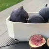 rudik_81