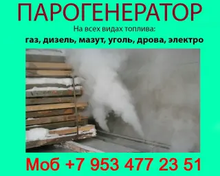 Парогенераторы для пропарочных камер
