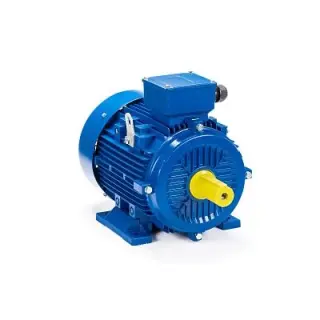Эл.двигатель ESQ 200 L4-SDN- 30/1500 IM B3