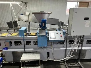 Линия изготовления печенья Орешки