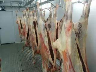 Мини бойня МРС